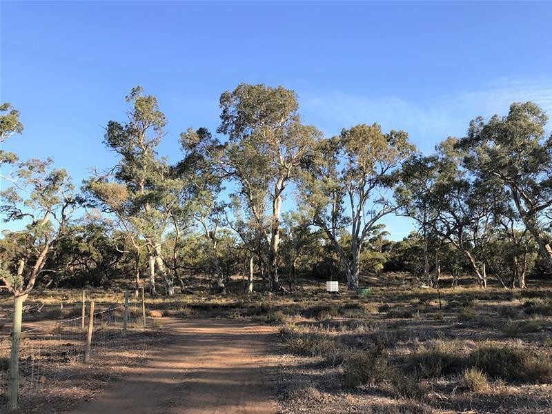 Section 382 Black Hill Road, Cambrai SA 5353