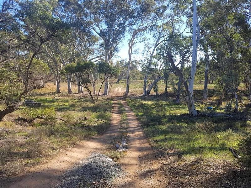 Section 382 Black Hill Road, Cambrai SA 5353