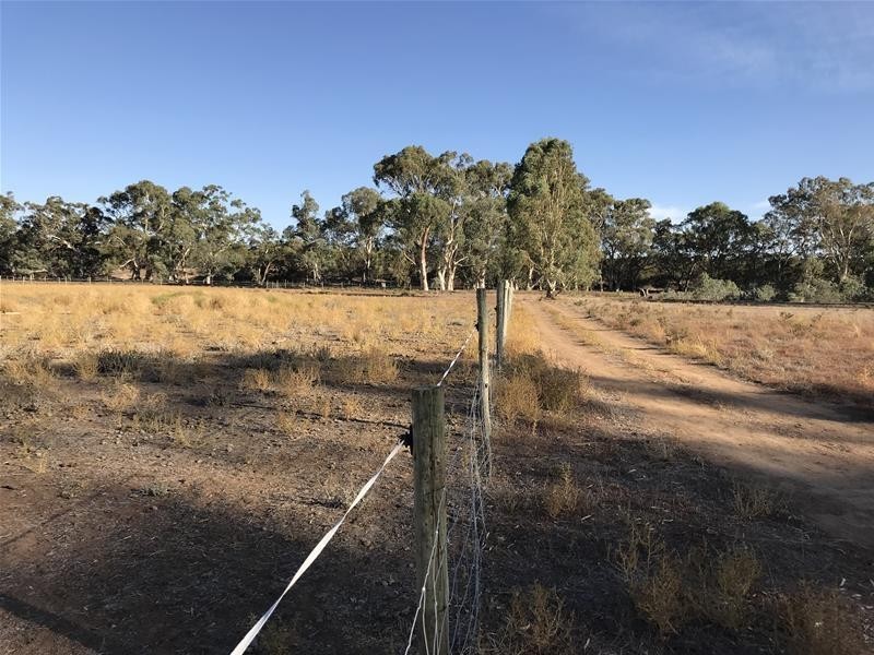 Section 382 Black Hill Road, Cambrai SA 5353