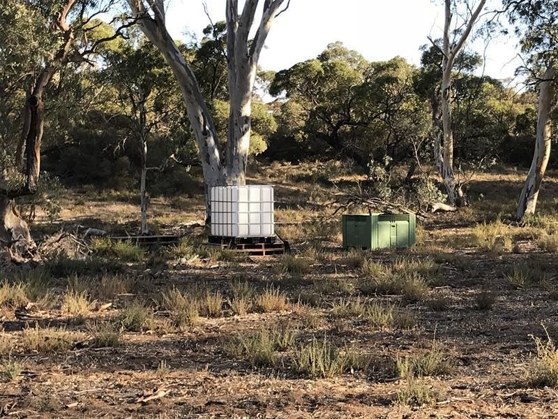 Section 382 Black Hill Road, Cambrai SA 5353