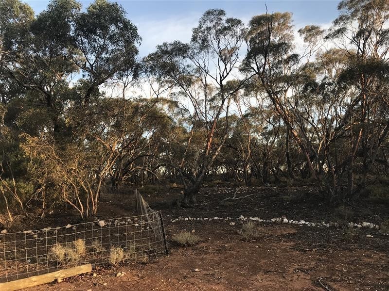 Section 382 Black Hill Road, Cambrai SA 5353