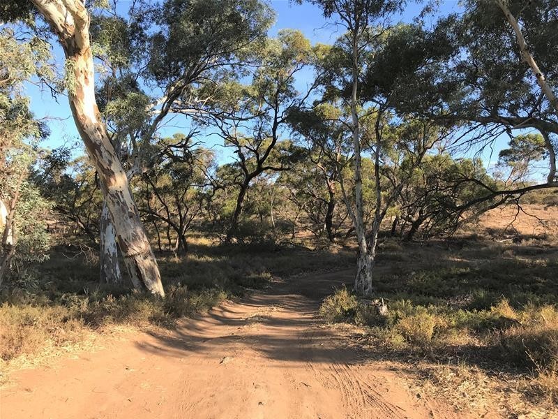 Section 382 Black Hill Road, Cambrai SA 5353