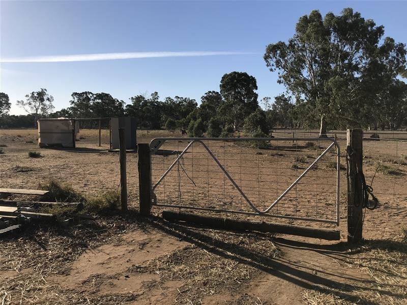 Section 382 Black Hill Road, Cambrai SA 5353