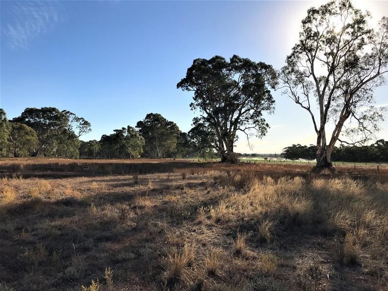Section 382 Black Hill Road, Cambrai SA 5353