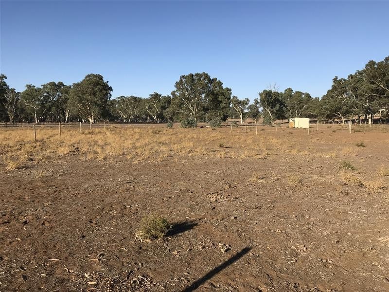 Section 382 Black Hill Road, Cambrai SA 5353