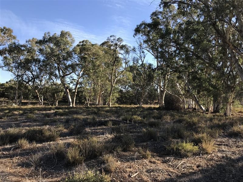 Section 382 Black Hill Road, Cambrai SA 5353