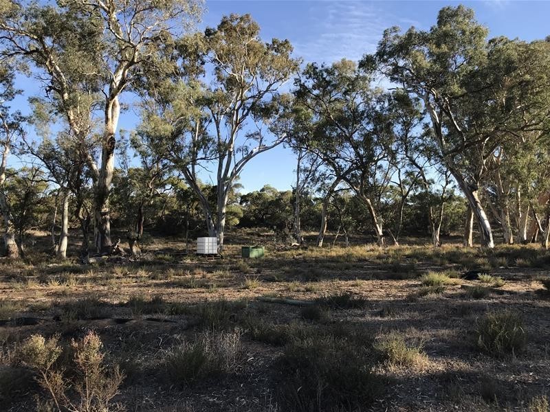 Section 382 Black Hill Road, Cambrai SA 5353