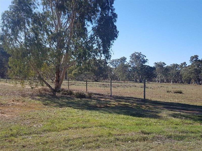 Section 382 Black Hill Road, Cambrai SA 5353