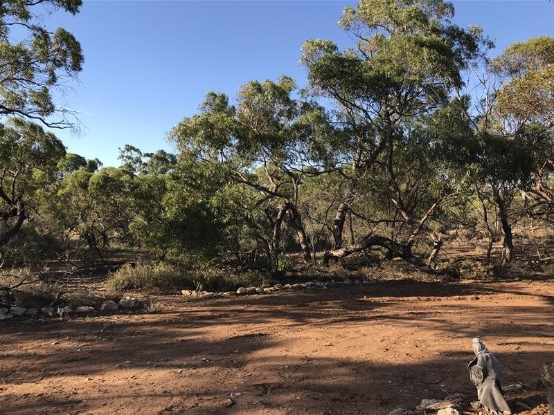 Section 382 Black Hill Road, Cambrai SA 5353