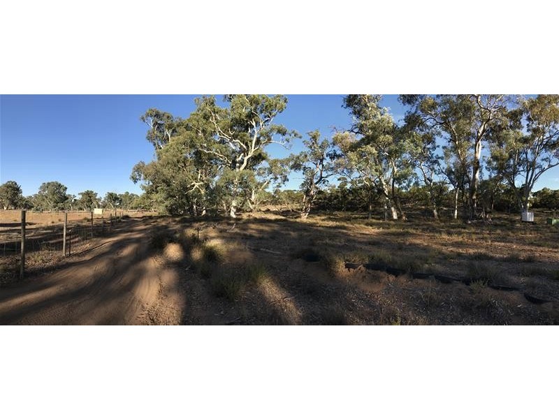 Section 382 Black Hill Road, Cambrai SA 5353