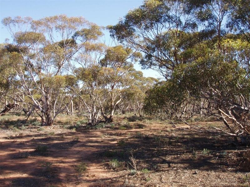 SECTION 194E Hundred Of Anna, Sandleton SA 5356