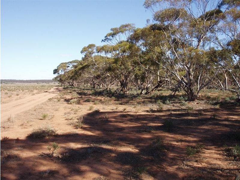 SECTION 194E Hundred Of Anna, Sandleton SA 5356