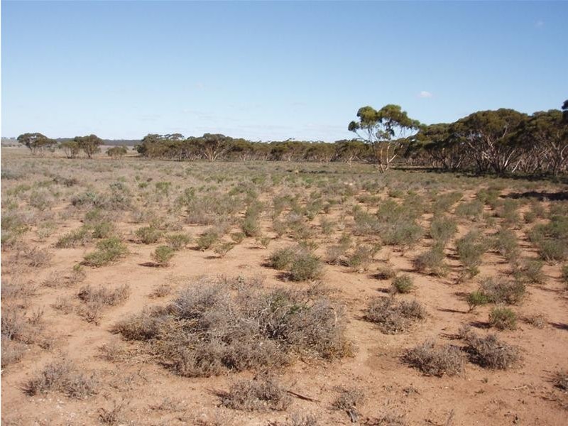 SECTION 194E Hundred Of Anna, Sandleton SA 5356