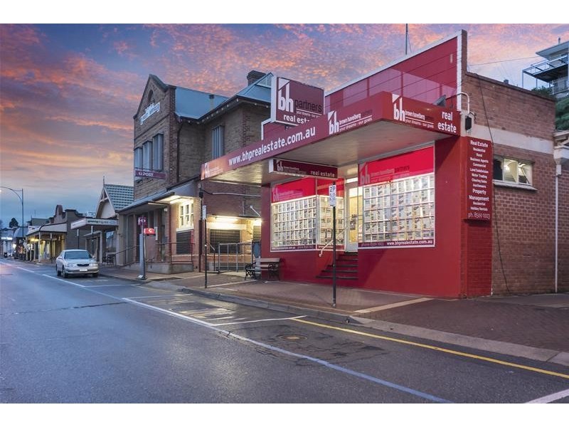 81 Randell Street, Mannum SA 5238