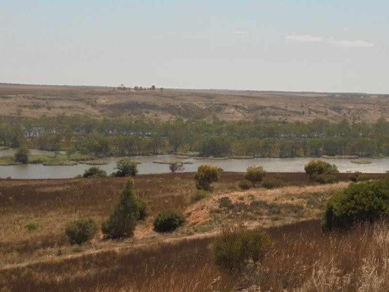 502 Schache Road, Younghusband SA 5238