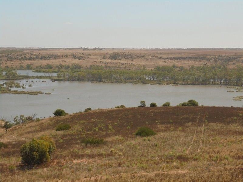 502 Schache Road, Younghusband SA 5238