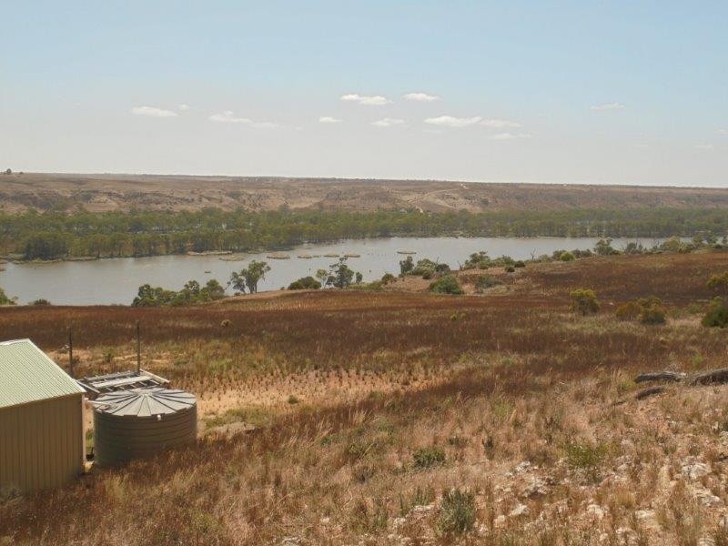 502 Schache Road, Younghusband SA 5238