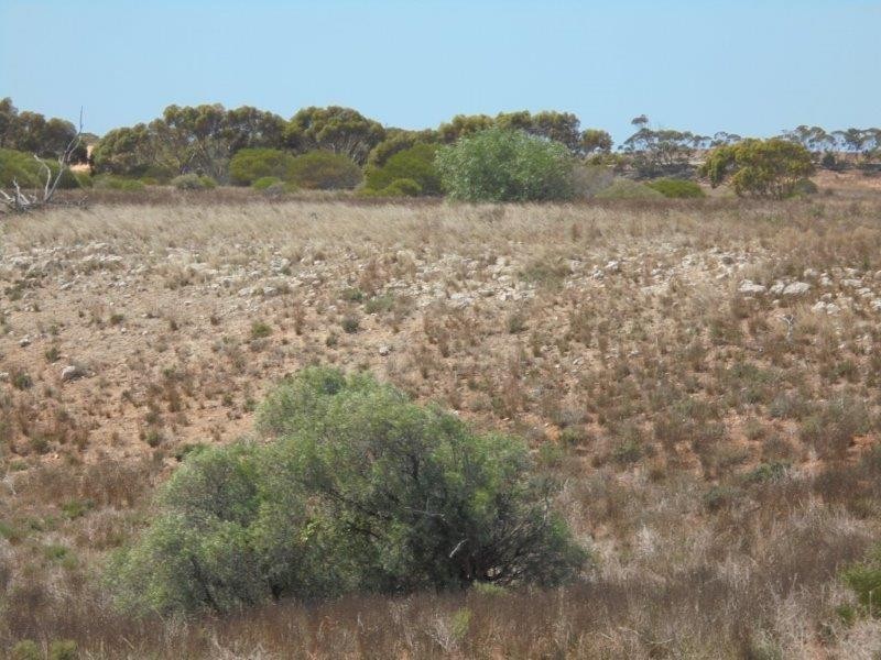 502 Schache Road, Younghusband SA 5238