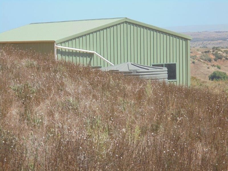 502 Schache Road, Younghusband SA 5238