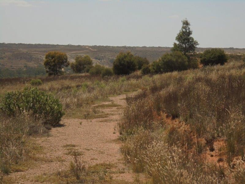 502 Schache Road, Younghusband SA 5238