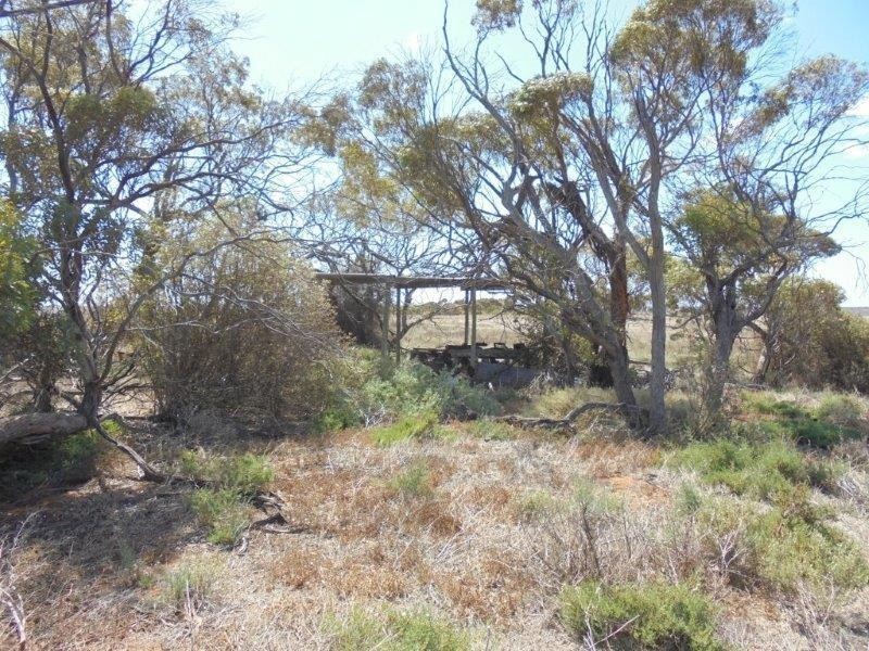 502 Schache Road, Younghusband SA 5238