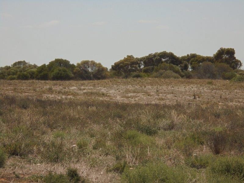 502 Schache Road, Younghusband SA 5238