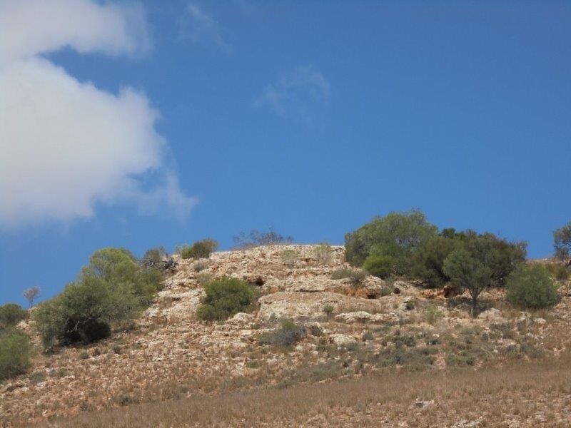 502 Schache Road, Younghusband SA 5238