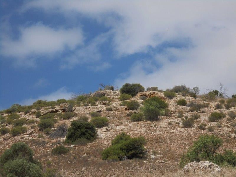 502 Schache Road, Younghusband SA 5238