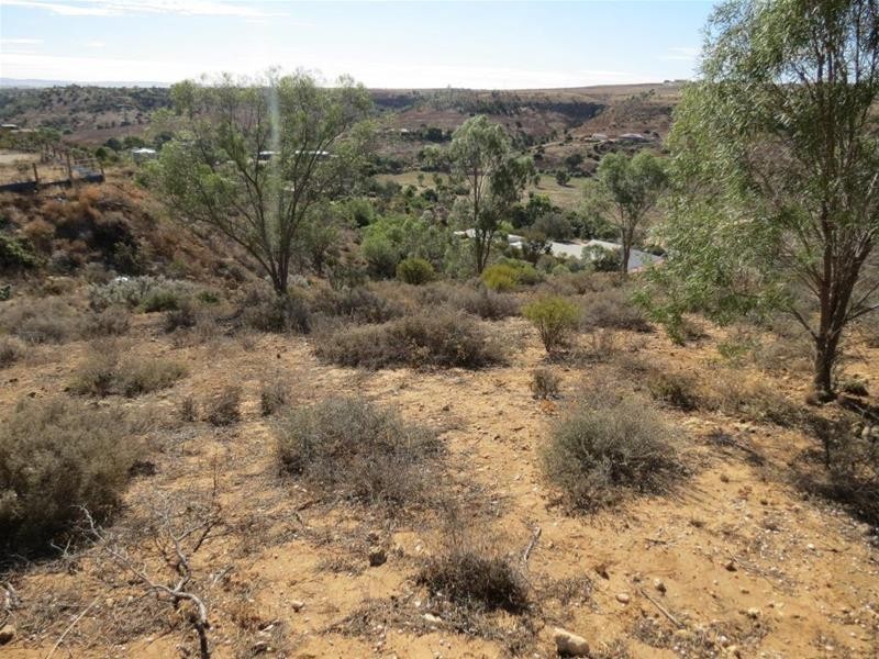 Allotment 101 Crawford Crescent, Mannum SA 5238