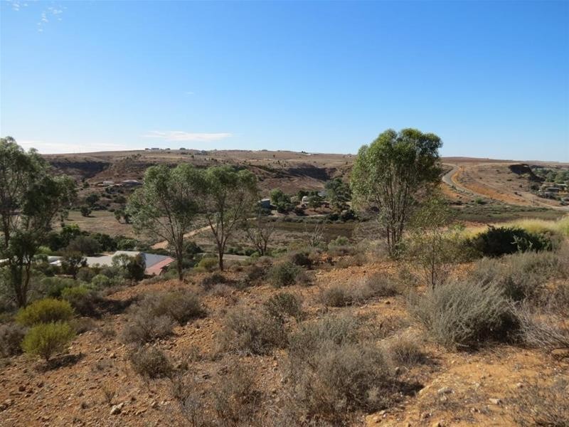 Allotment 101 Crawford Crescent, Mannum SA 5238