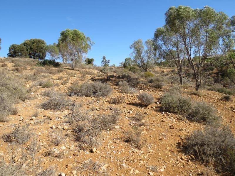 Allotment 101 Crawford Crescent, Mannum SA 5238
