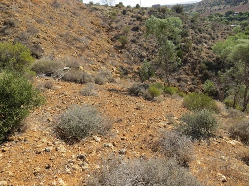 Allotment 101 Crawford Crescent, Mannum SA 5238