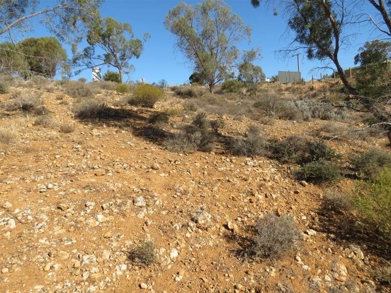 Allotment 101 Crawford Crescent, Mannum SA 5238