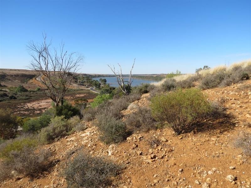 Allotment 101 Crawford Crescent, Mannum SA 5238