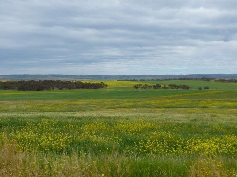 Lot 11, 96 Magpie Crescent, Mannum SA 5238