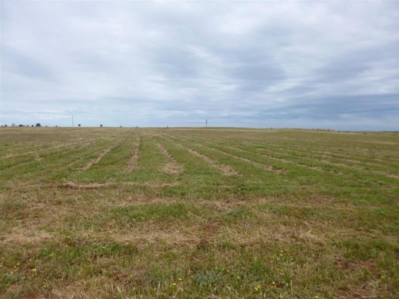 Lot 11, 96 Magpie Crescent, Mannum SA 5238