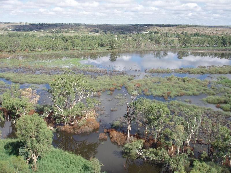 2 Walker Flat Nildottie Road, Walker Flat SA 5238