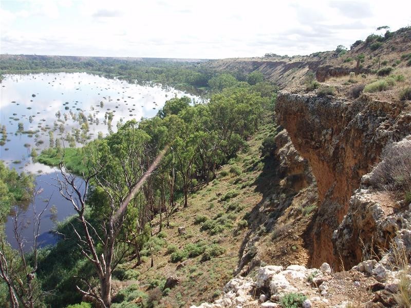 2 Walker Flat Nildottie Road, Walker Flat SA 5238