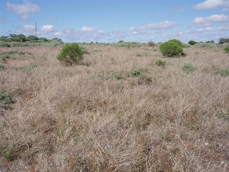 2 Walker Flat Nildottie Road, Walker Flat SA 5238