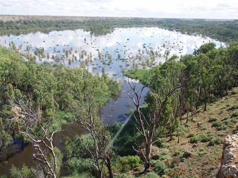 2 Walker Flat Nildottie Road, Walker Flat SA 5238