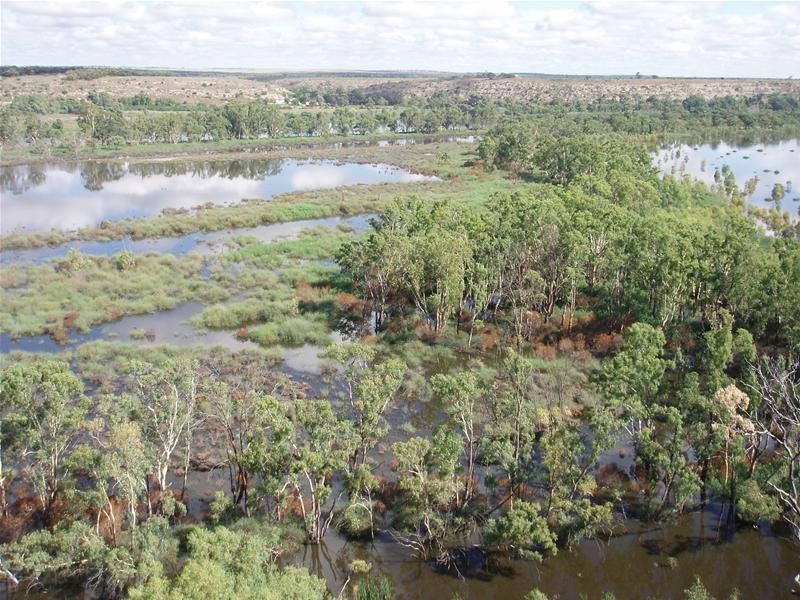 2 Walker Flat Nildottie Road, Walker Flat SA 5238