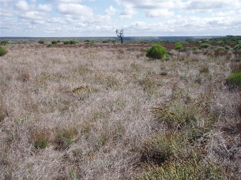 2 Walker Flat Nildottie Road, Walker Flat SA 5238