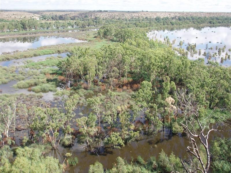 2 Walker Flat Nildottie Road, Walker Flat SA 5238