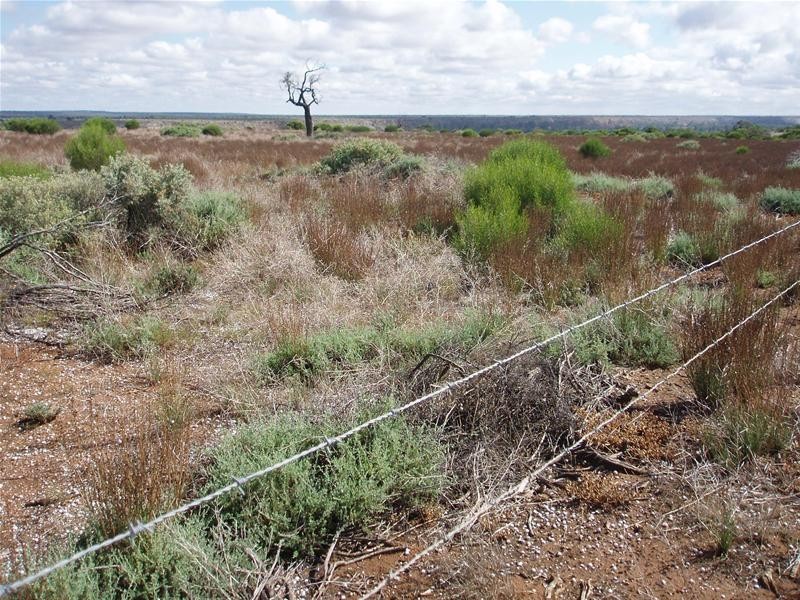 2 Walker Flat Nildottie Road, Walker Flat SA 5238