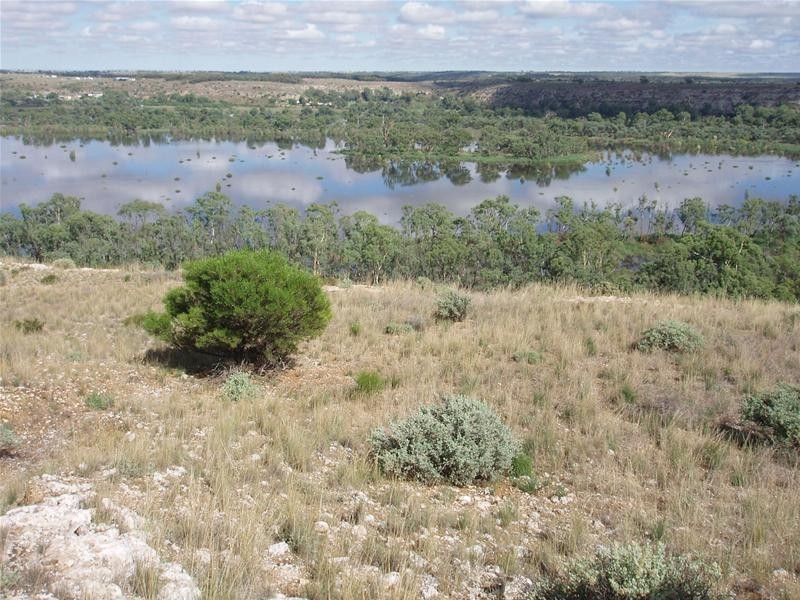 2 Walker Flat Nildottie Road, Walker Flat SA 5238