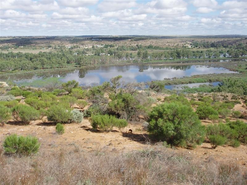 2 Walker Flat Nildottie Road, Walker Flat SA 5238