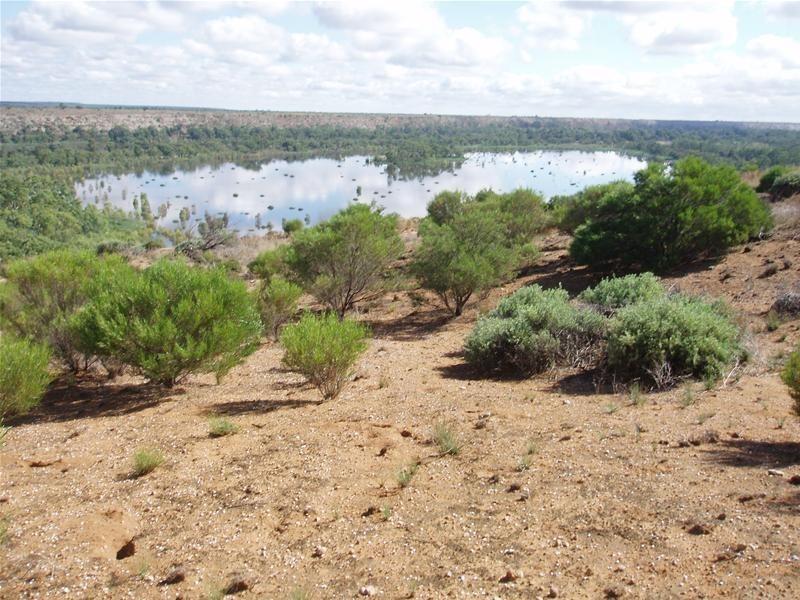 2 Walker Flat Nildottie Road, Walker Flat SA 5238