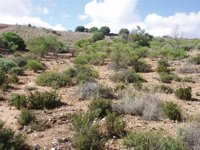 2 Walker Flat Nildottie Road, Walker Flat SA 5238