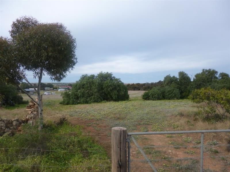 Lot 48 Needles Road, Caloote SA 5254