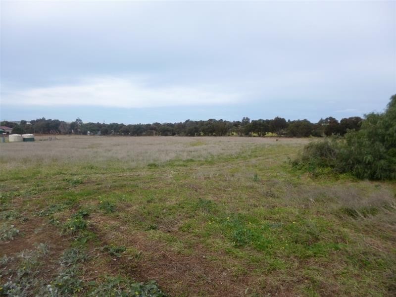 Lot 48 Needles Road, Caloote SA 5254